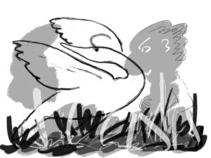 Drawing 001